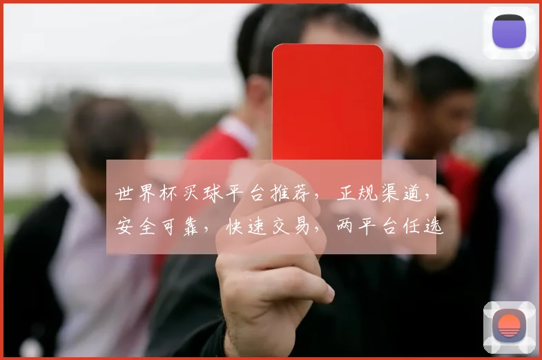 世界杯买球平台推荐，正规渠道，安全可靠，快速交易，两平台任选，体验购球乐趣
