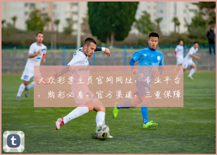大众彩票主页官网网址，专业平台，购彩必看，官方渠道，三重保障，轻松投注
