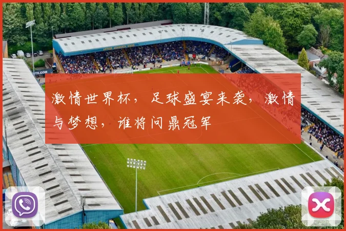 激情世界杯，足球盛宴来袭，激情与梦想，谁将问鼎冠军