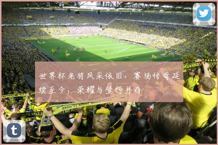 世界杯老将风采依旧，赛场传奇延续至今，荣耀与梦想并存